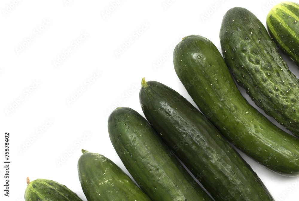 Background of green ogurtsof. Photo. Background of green ogurtsof. Photo.