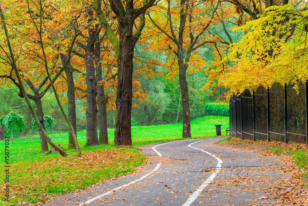 Naklejka premium bicycle path in an empty yellow autumn park