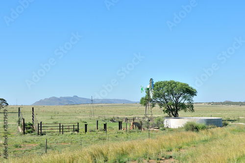 Farm scene south of Springfontein