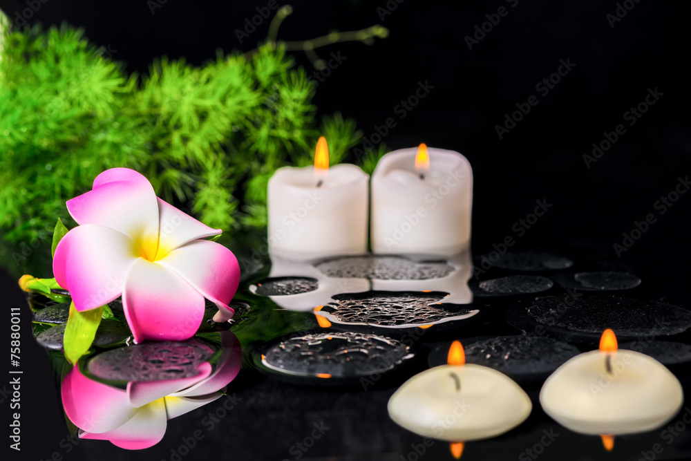 beautiful spa background of plumeria flower, green branch Aspara beautiful spa background of plumeria flower, green branch Aspara