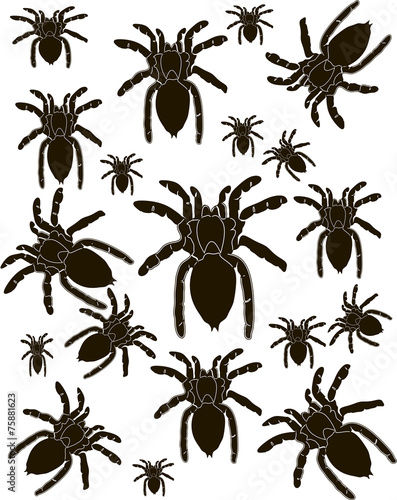 Set Spider Silhouette Vector © Copceac Oleg