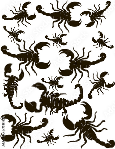Set Scorpions Silhouette Vector