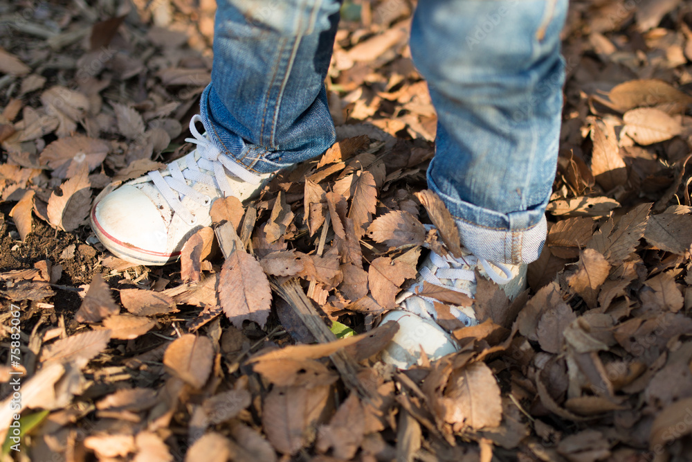 落ち葉に埋もれた子供の靴