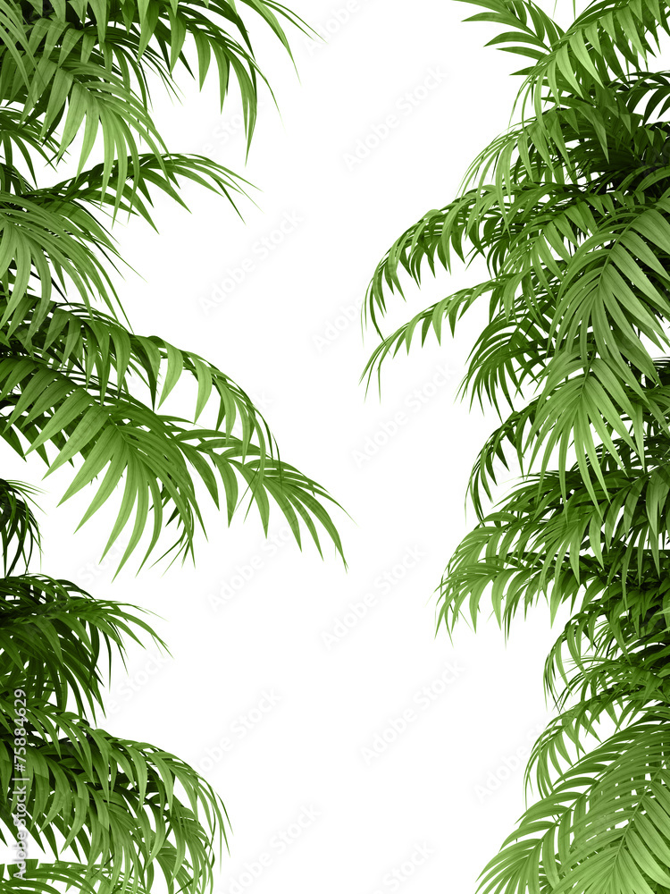 Naklejka premium tropical plant