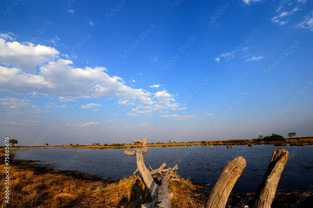 Kwado river