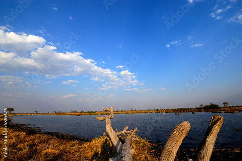 Kwado river