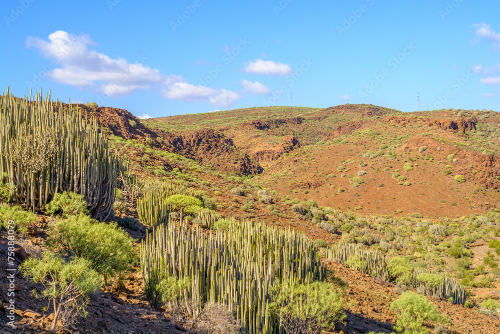 Naklejka premium Gran Canaria landscape