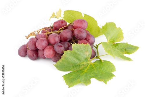 Bunch of red grapes