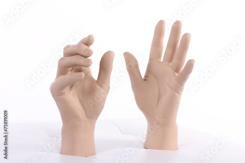 mannequin hand, 