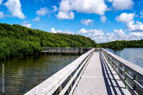 West Lake - Everglades
