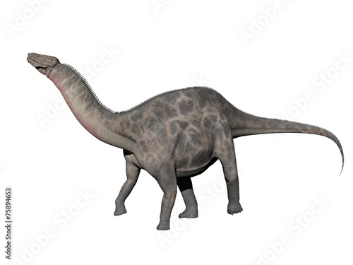 dicraeosaurus dinosaur - 3d render © Mariephotos