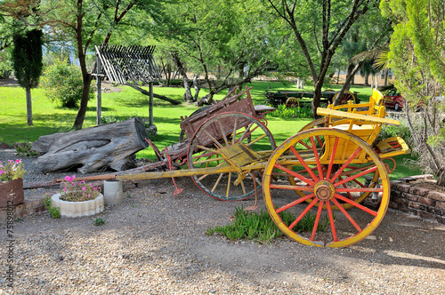 Two-wheeled horse drawn carts photo