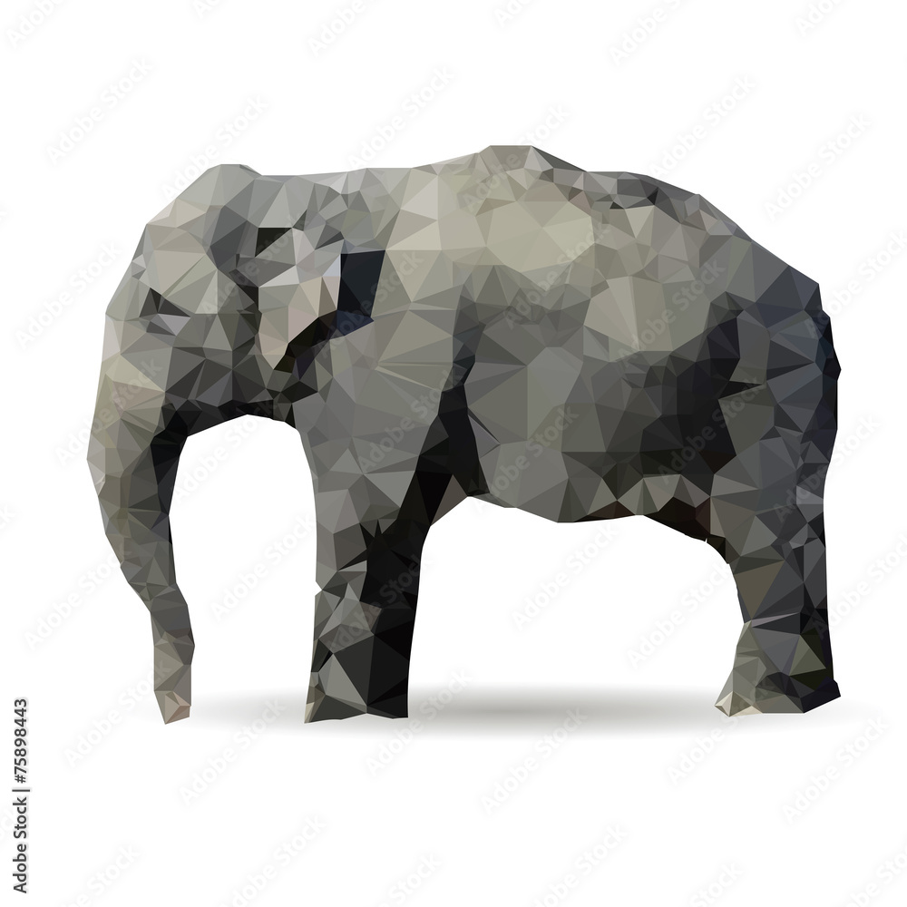 elephant - obrazy, fototapety, plakaty 