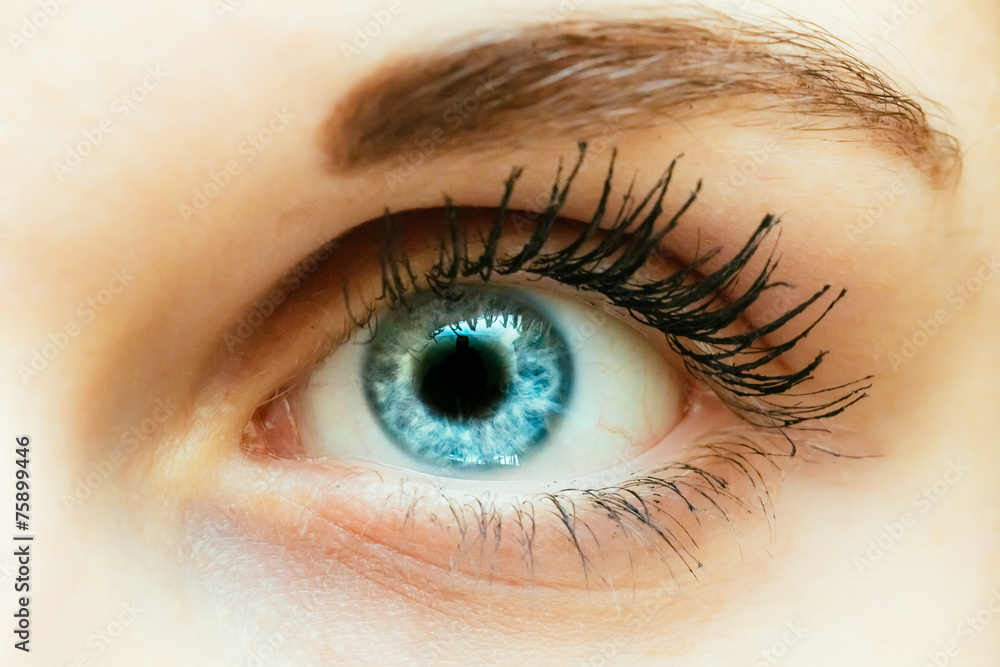 Obraz premium Bright Blue Eye Close Up