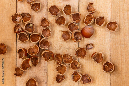 shells of nuts on wooden boards