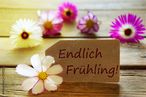 Sonniges Etikett mit deutschem Text Endlich Frühling