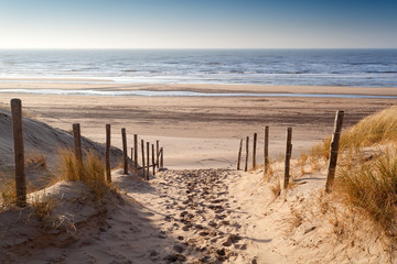 Papier peint photo Le salon Sentier de sable mer du Nord  © Olha Rohulya