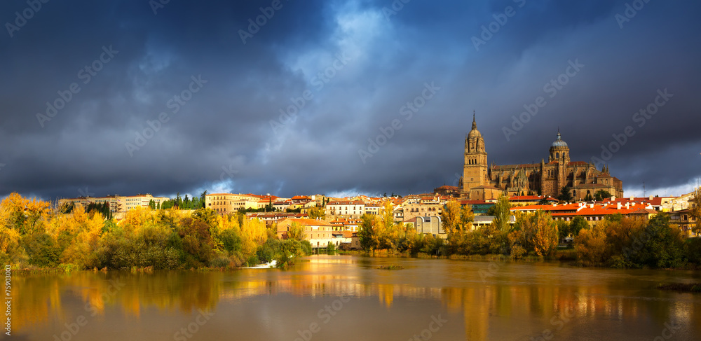  November view of Salamanca