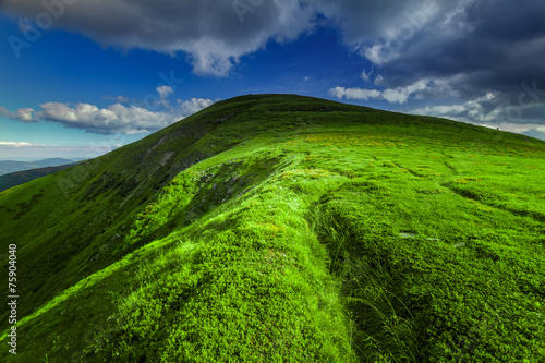 summer landscape. photo