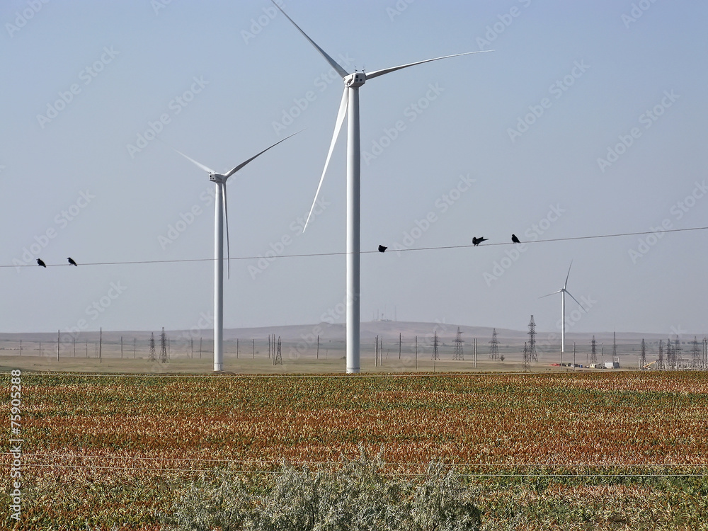 Giant wind stations in Crimea
