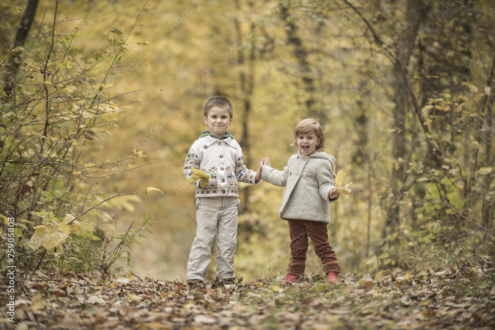 Children playing in a forest Children playing in a forest