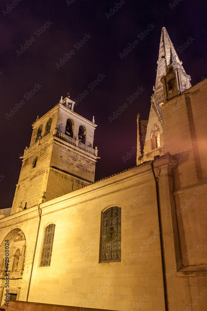 Church of Santa Maria de Palacio in Logrono