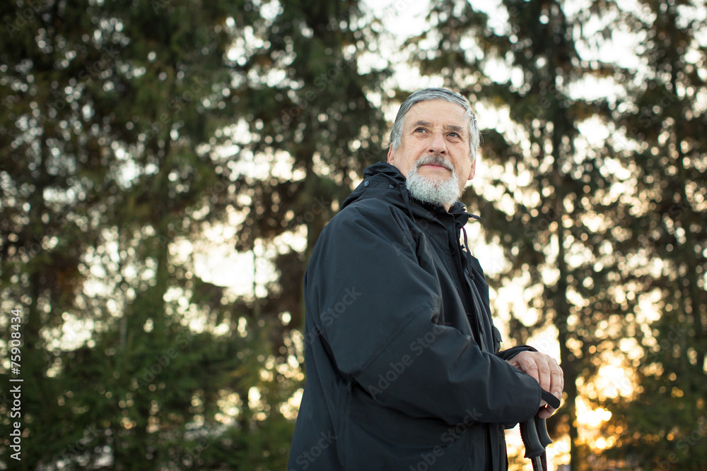 Senior man nordic walking, enjoying the outdoors, the fresh air, Senior man nordic walking, enjoying the outdoors, the fresh air,