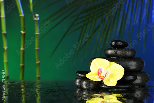 Orchid flower with water drops and pebble stones