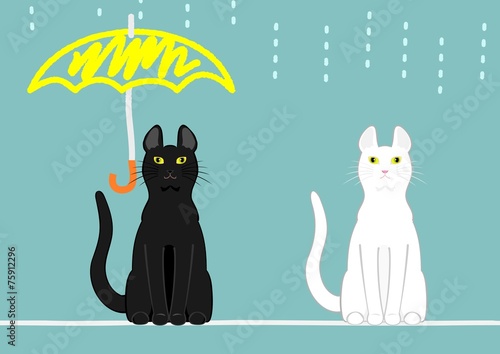 傘のある猫とない猫