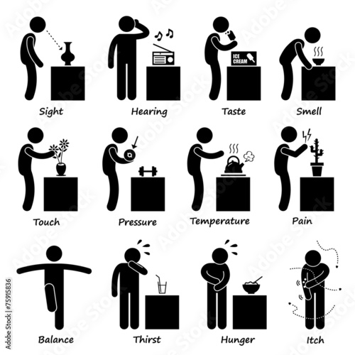 Human Senses Cliparts
