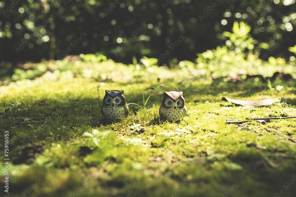 Obraz premium Ceramic owls with natural light.