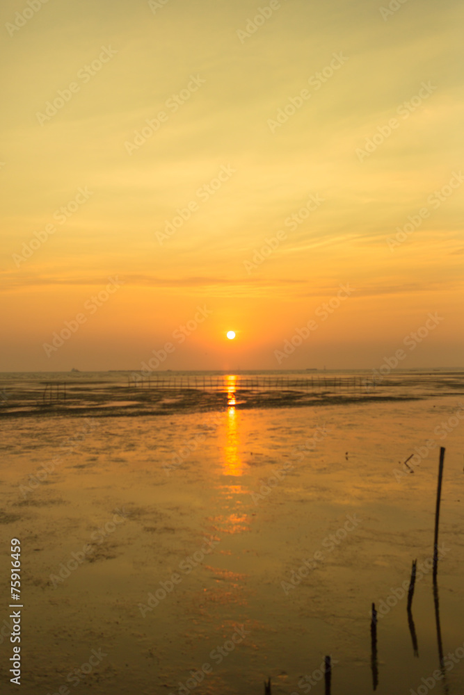 Natural landscape with sunset time.