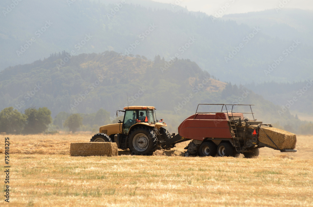 Fototapeta premium Hay Bale