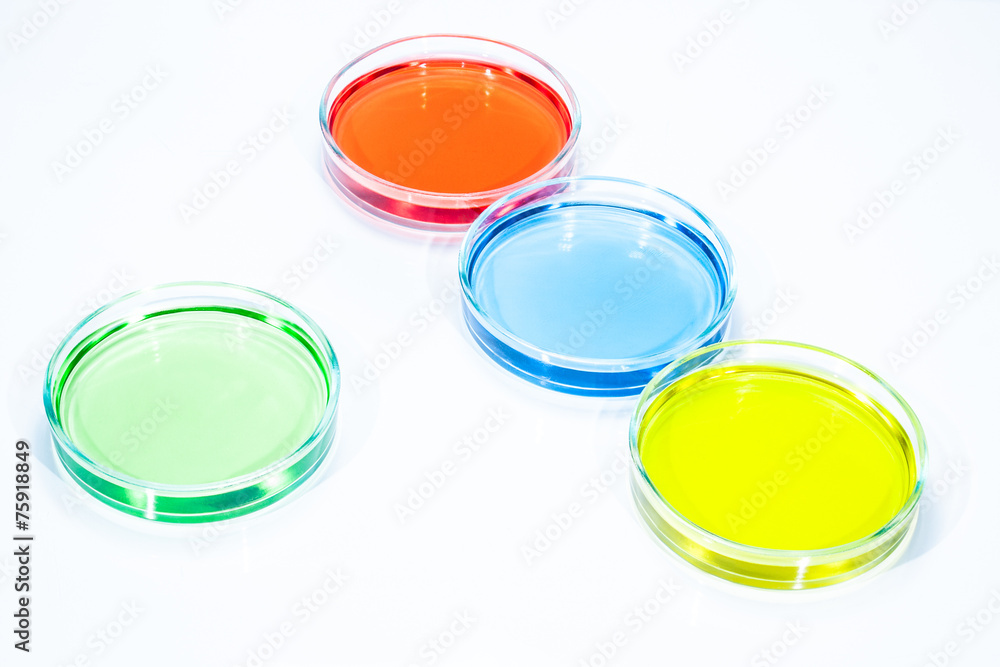 Set of Petri dishes with colored liquid Set of Petri dishes with colored liquid