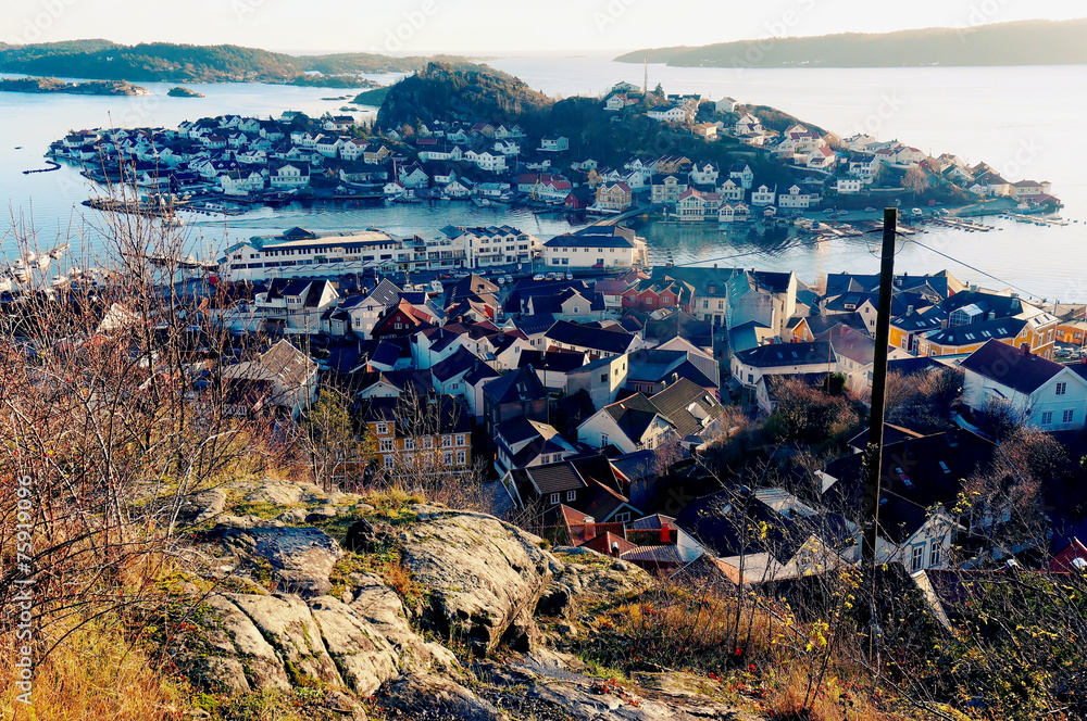 Island in the fjord