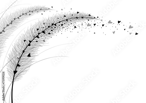Vector grass flower on white background. Love concepts. photo
