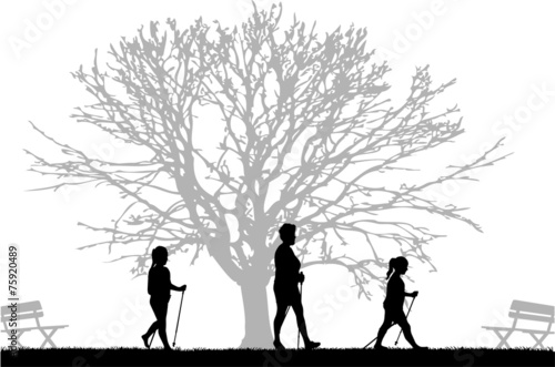 Vector silhouette of people with Nordic walking.