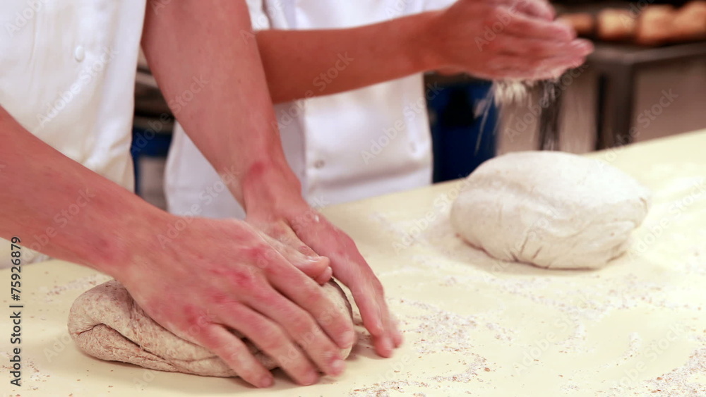Culinary students kneading dough together Culinary students kneading dough together