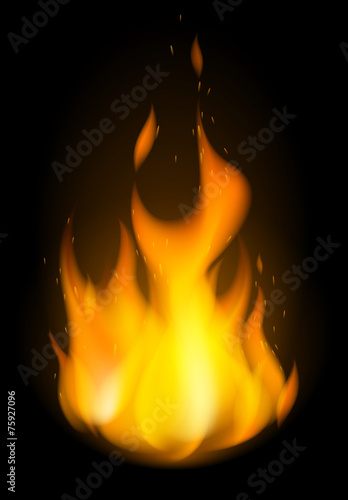 Flammes vectorielles 1