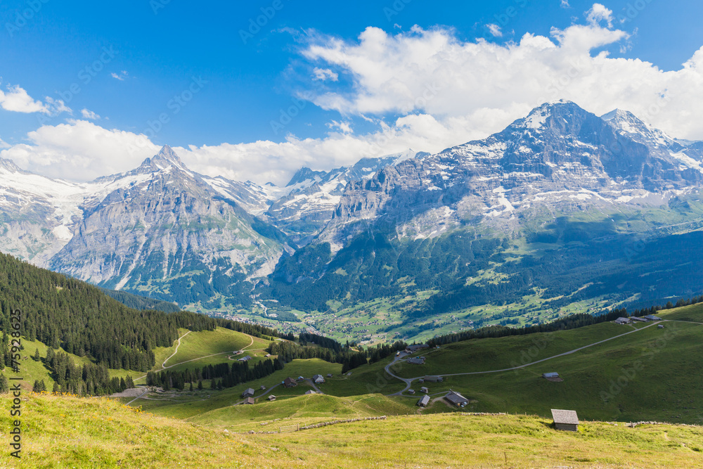Panoramic view of Eiger, Schreckhorn and the valley