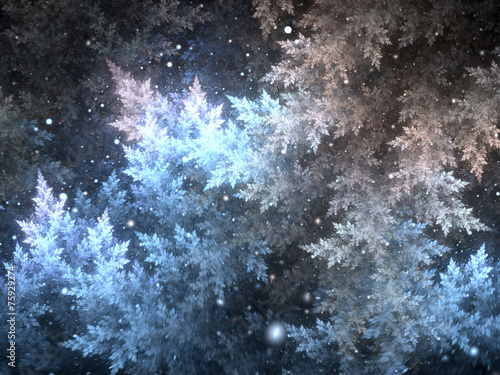 Fractal frost in winter night, digital artwork