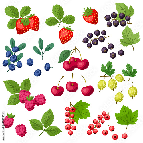 Set of various stylized fresh berries.
