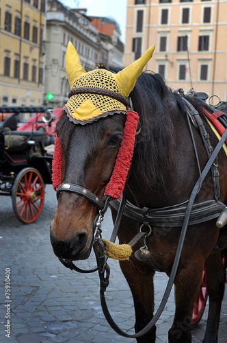 Cavallo con calesse a Roma, Italia © Daniele Pietrobelli