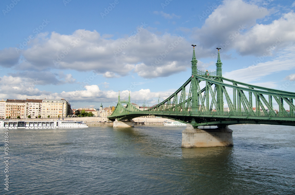 Fototapeta premium Szabadság hid - Liberty bridge in Budapest, Hungary