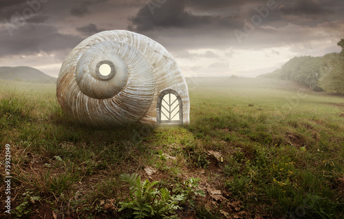 Surreal artistic image with a Snail and shell house