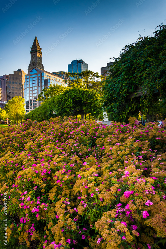 Flowers and the Custom House Tower in Boston, Massachusetts.