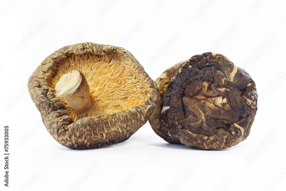 Dried Shiitake mushroom on white background. Dried Shiitake mushroom on white background.