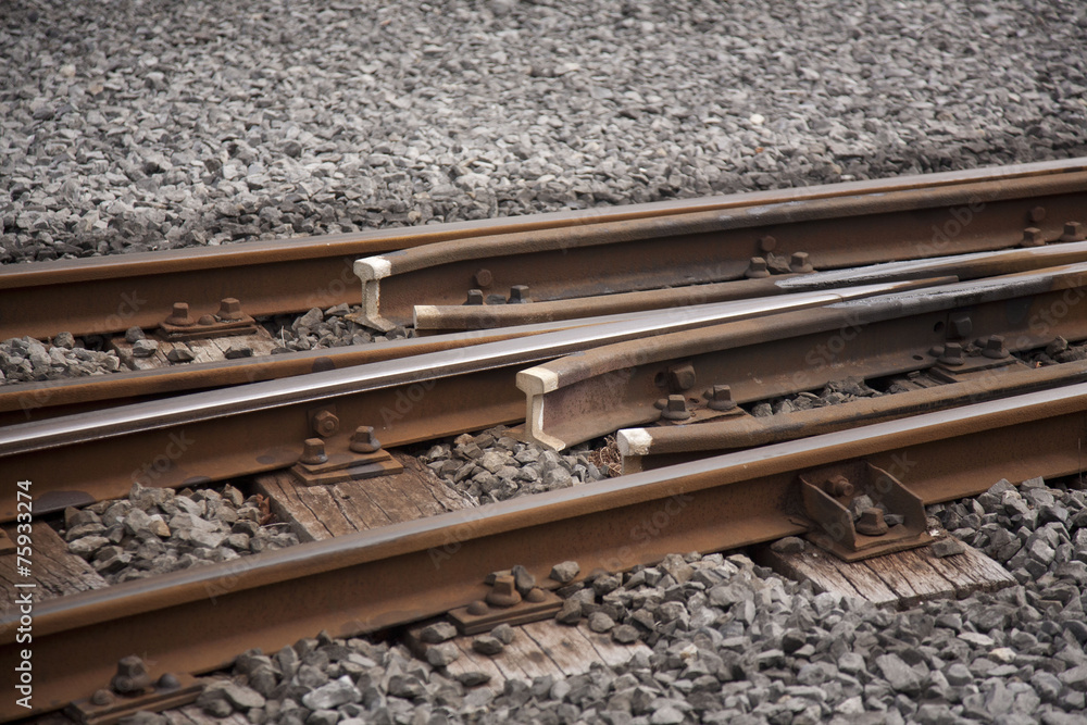 Naklejka premium Train Line