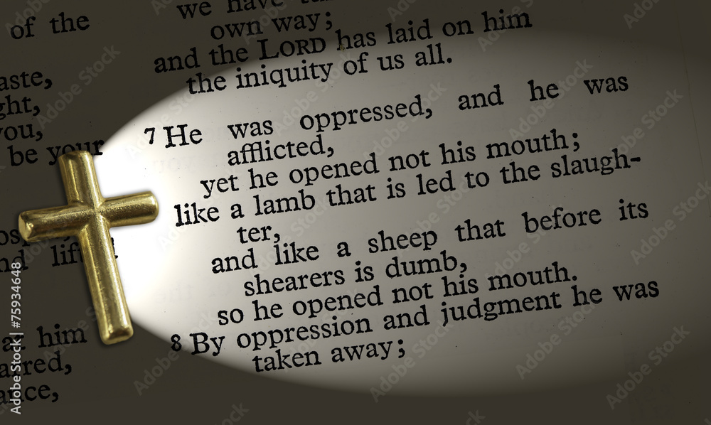 Obraz premium Isa 53.7