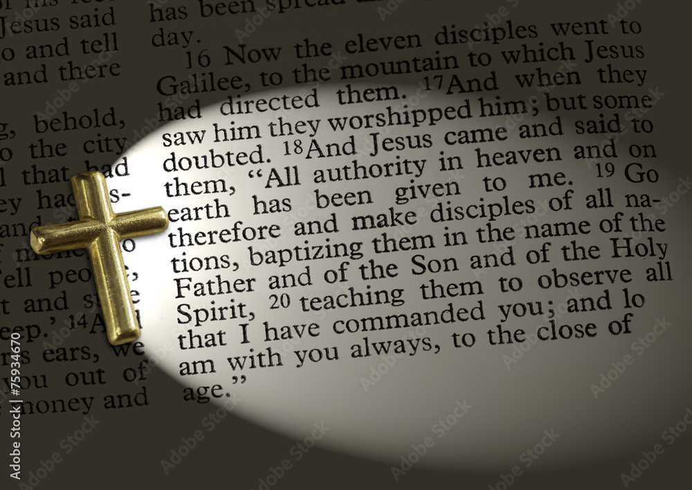 Obraz premium matt28.1